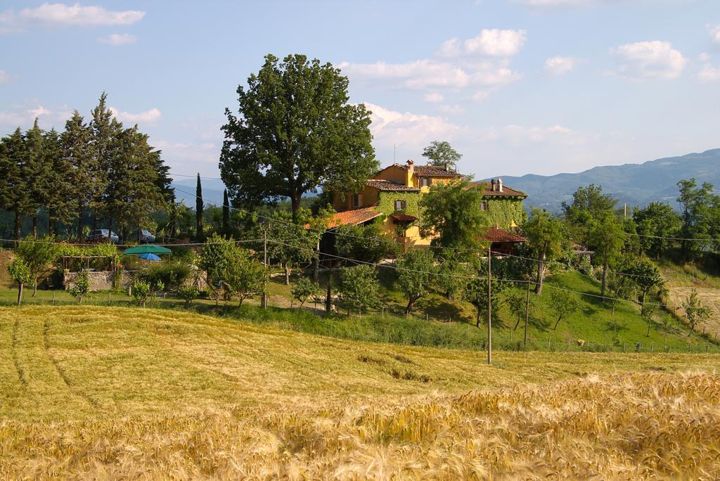 B&B Le Due Volpi Виккьо Экстерьер фото