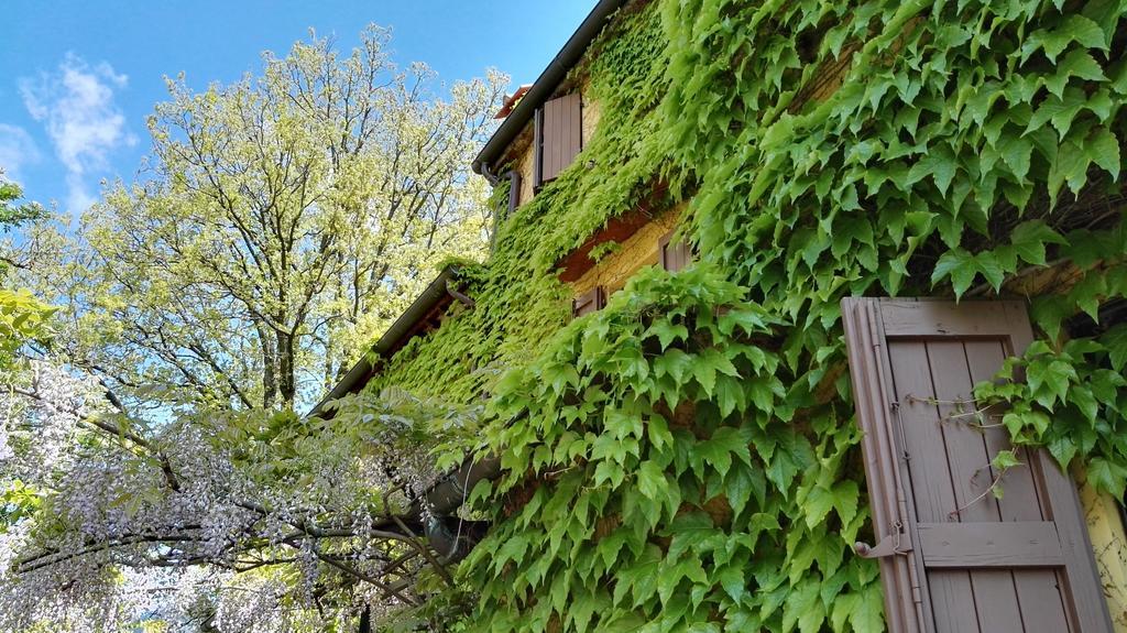 B&B Le Due Volpi Виккьо Экстерьер фото