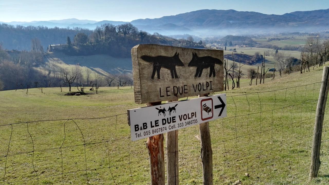 B&B Le Due Volpi Виккьо Экстерьер фото
