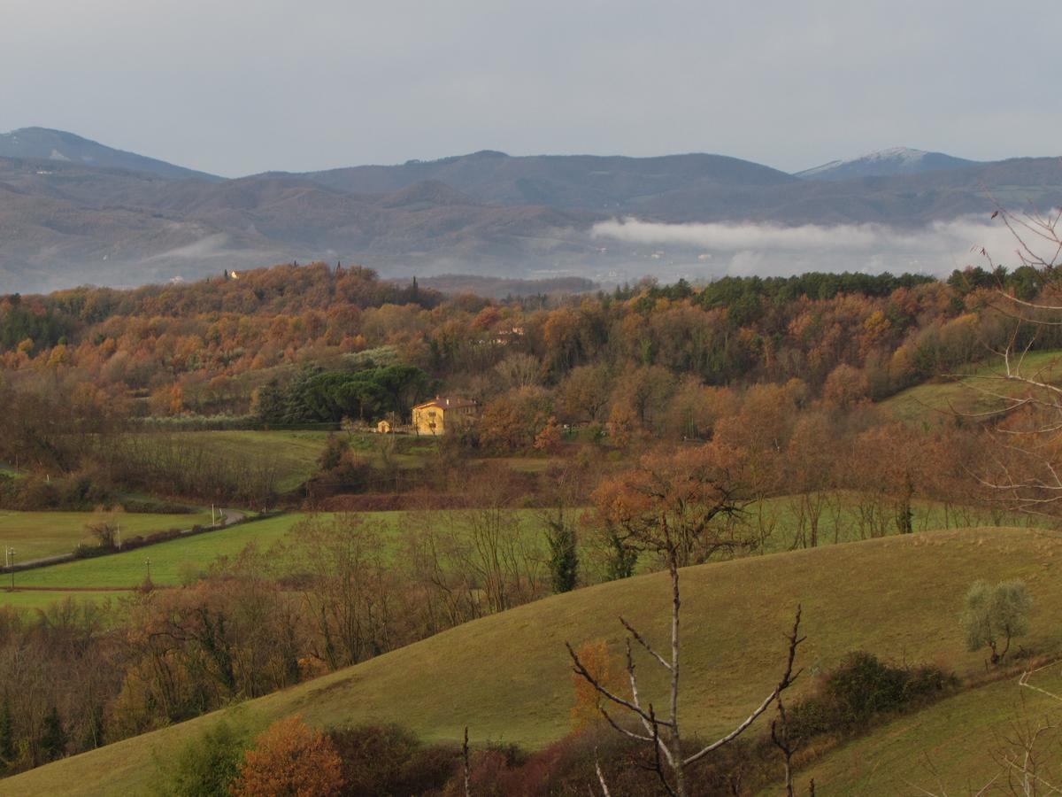 B&B Le Due Volpi Виккьо Экстерьер фото